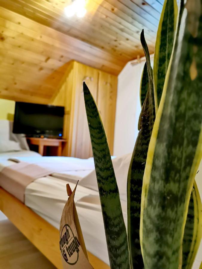 Hisa Erlah Hotell Bohinj Eksteriør bilde